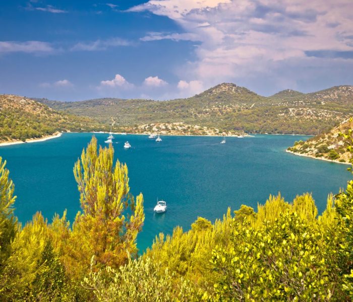 ISLA DE PELJESAC 2