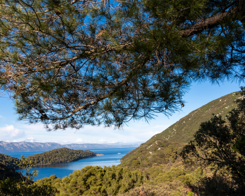 mljet-2 mljet-2